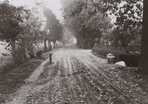 Figuur 16: De Biesbosserweeg in 1955 vlakbij de Schekkermeent (toen de Groep).